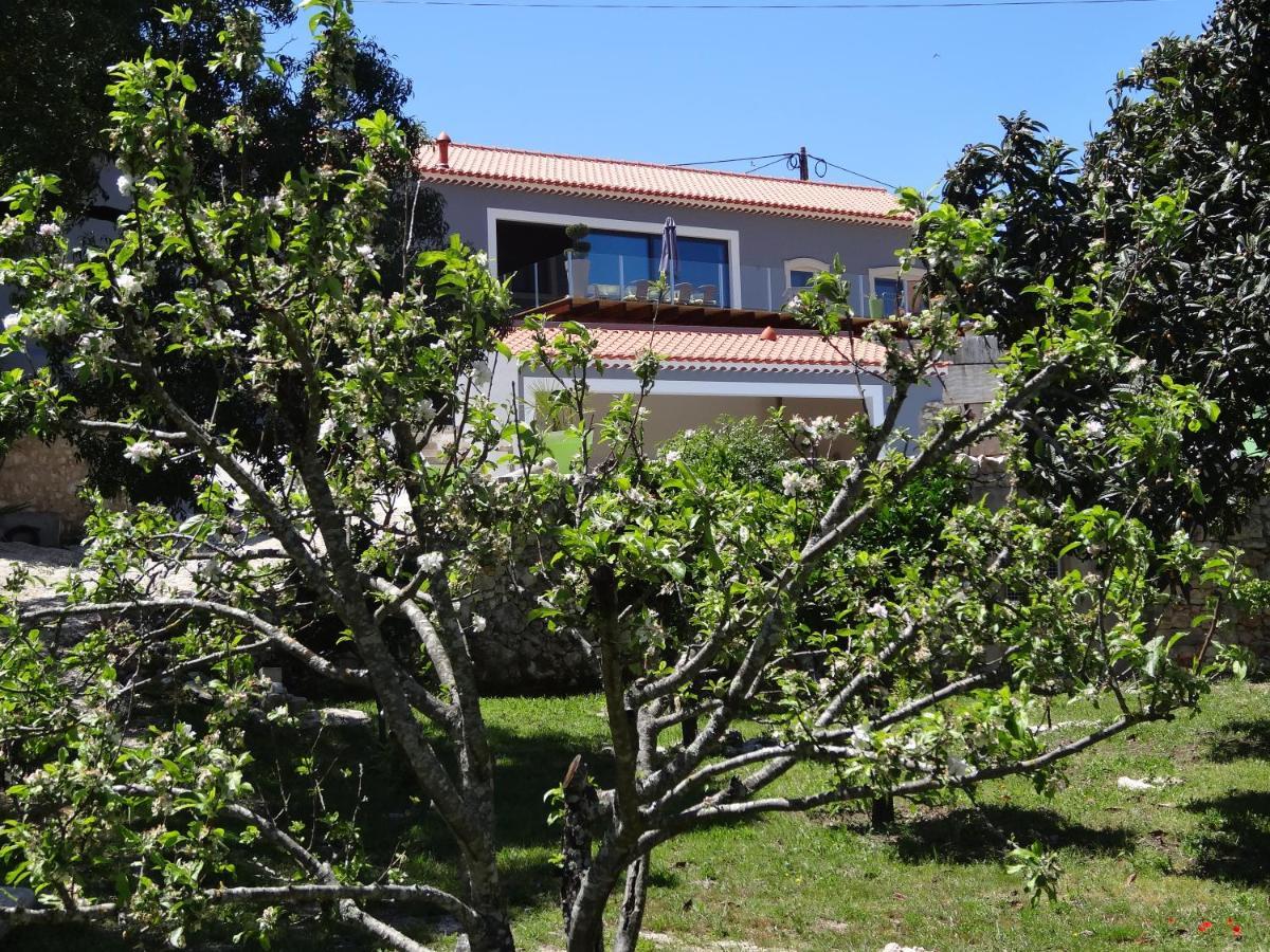 Bed and Breakfast Casa Da Riguerinha à Monsanto Extérieur photo
