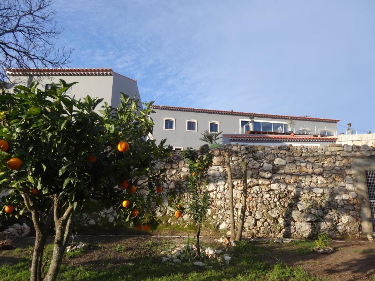 Bed and Breakfast Casa Da Riguerinha à Monsanto Extérieur photo